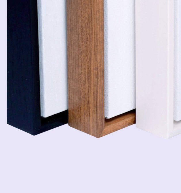 framecanvas1